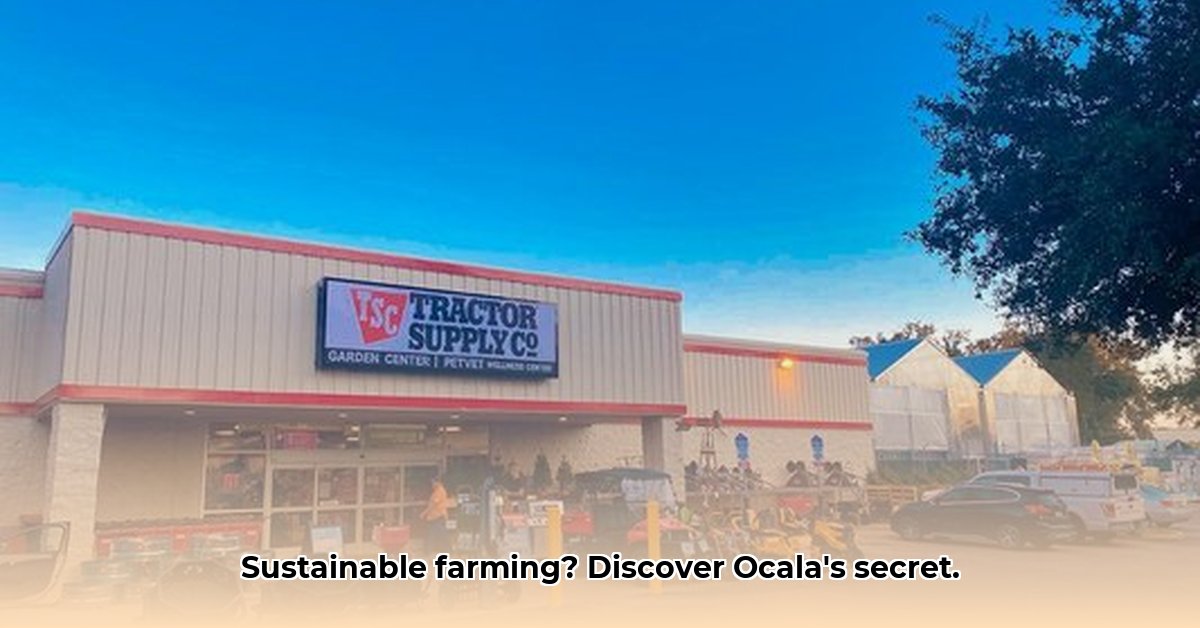 tractor-supply-484-ocala